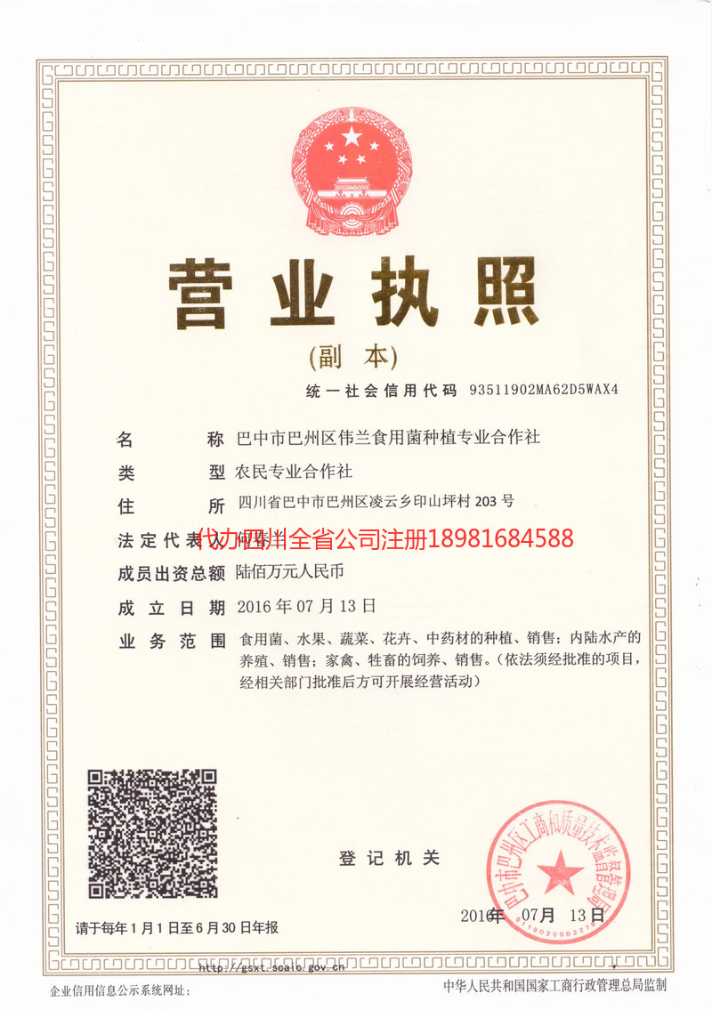 景东景东伟兰食用菌种植专业合作社