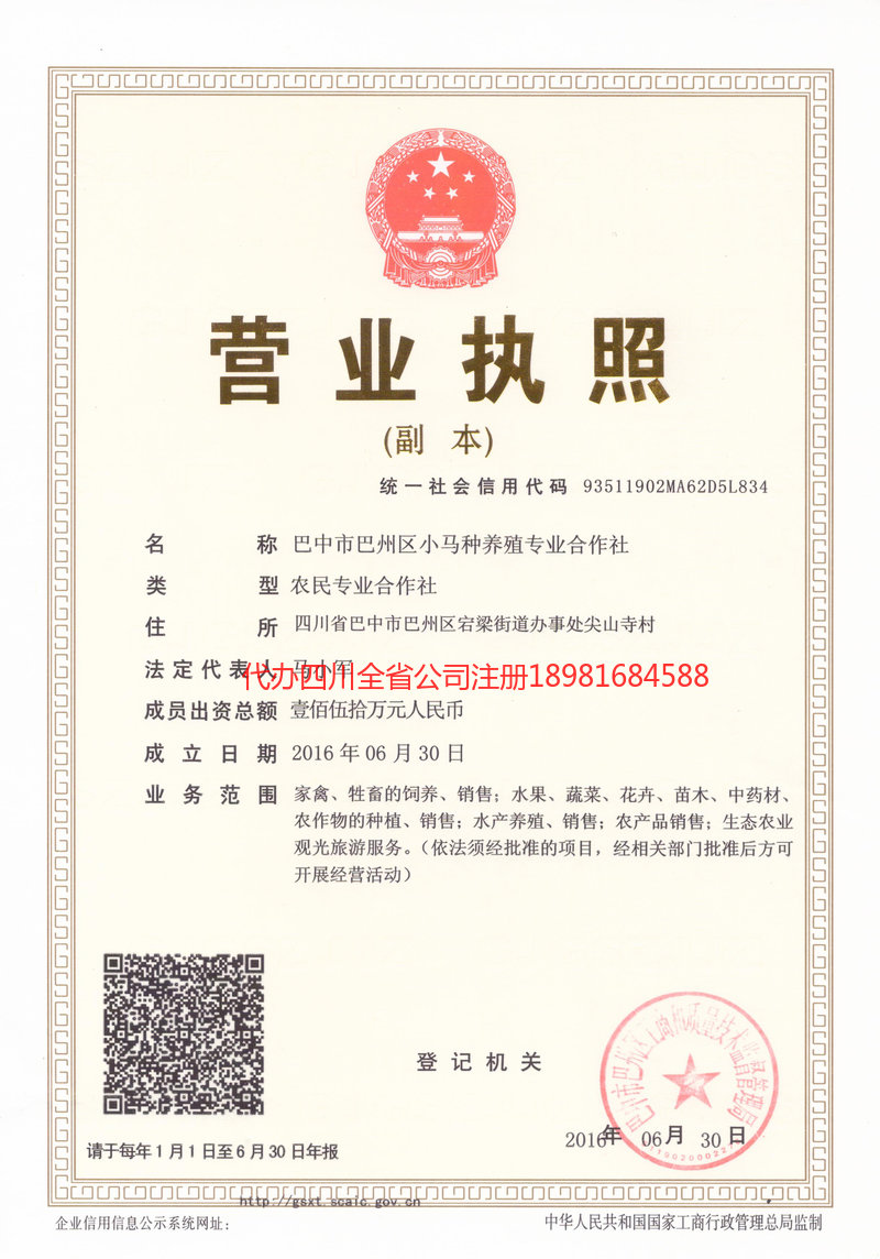 景东景东小马种养殖专业合作社